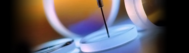 1451651915165081.jpg 024.jpg